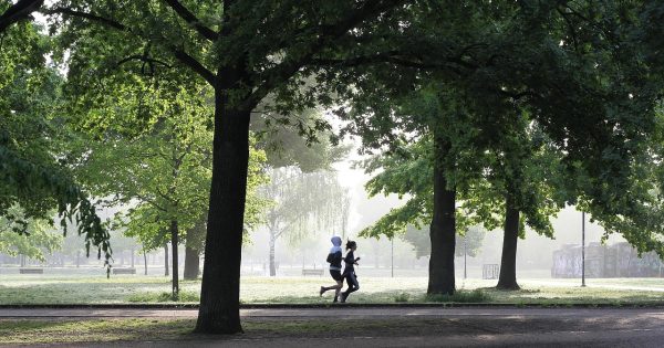 jogging-4211946_1280